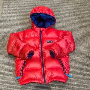 GUC Patagonia Hi-Loft Down Sweater Hoody!